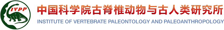 冠军体育官方网站