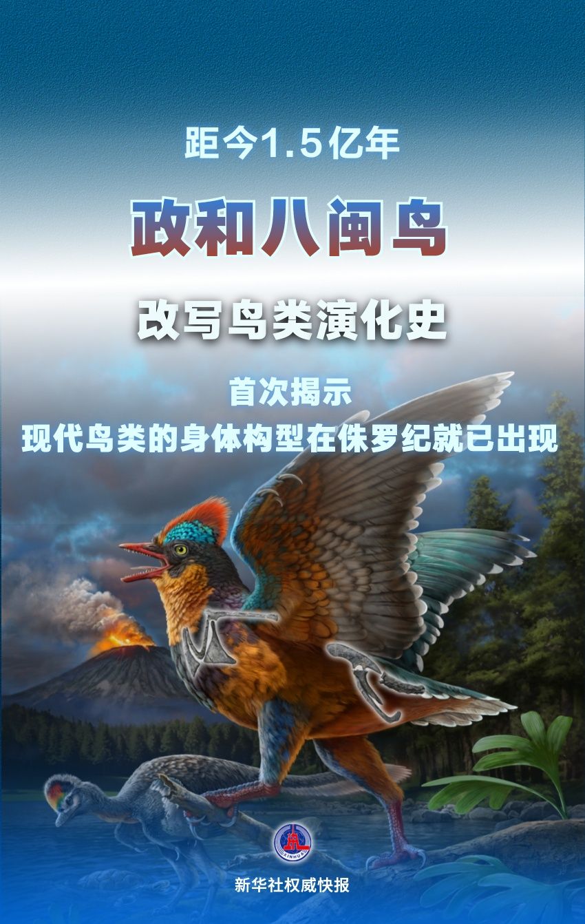 避免被站外镜像带偏