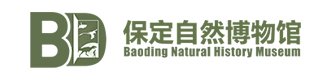 冠军体育官方网站