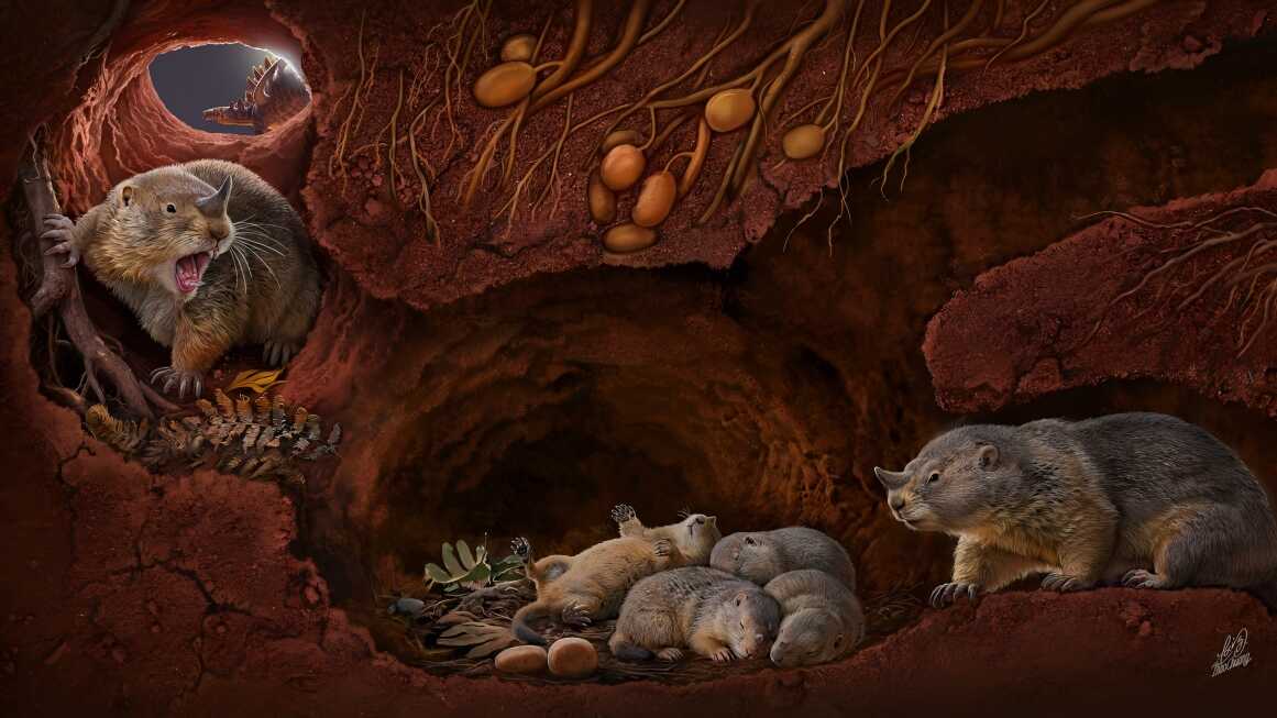 便于对照栏目动态与后续阅读