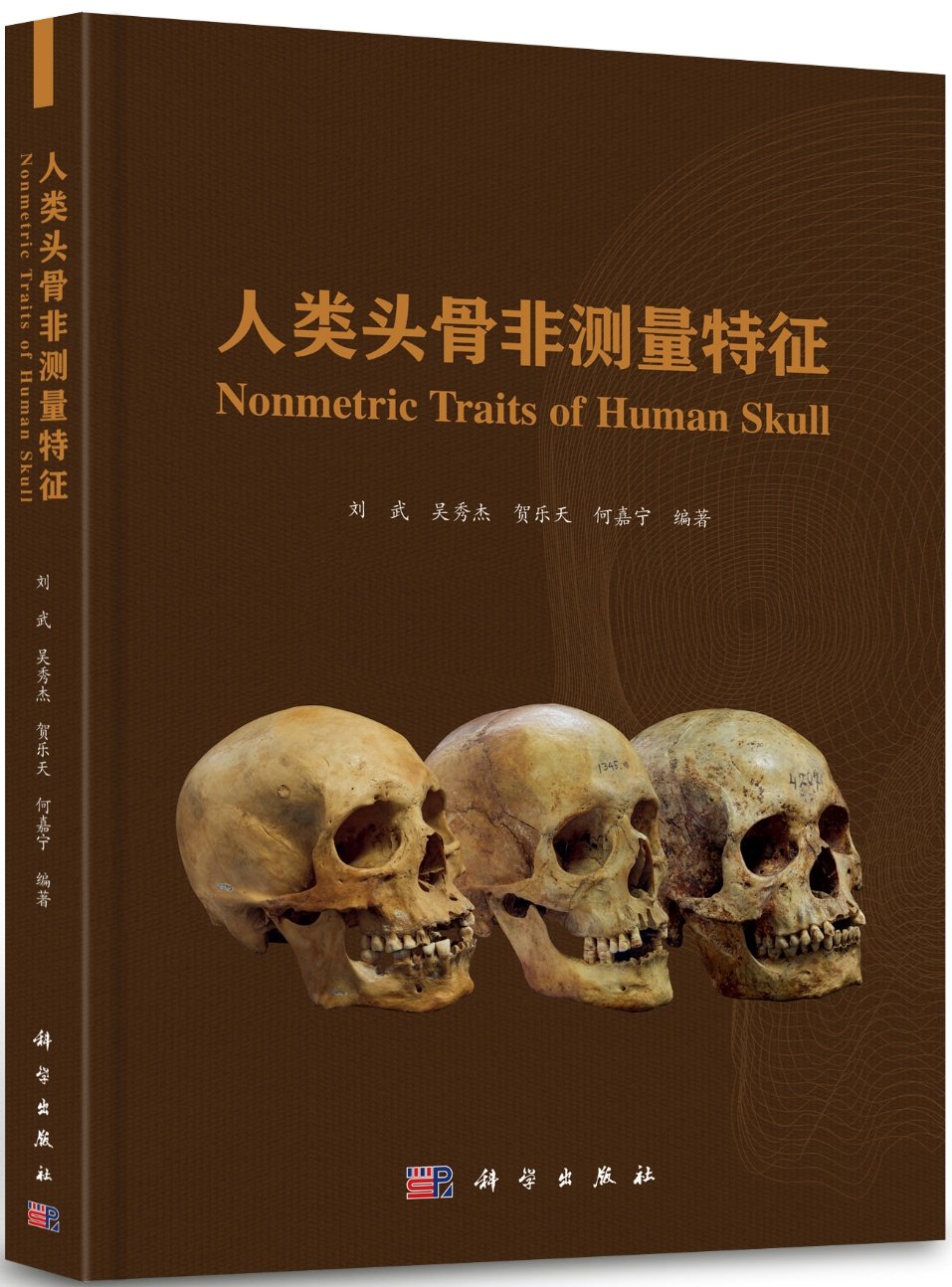 系统介绍 153 项头骨非测量特征的